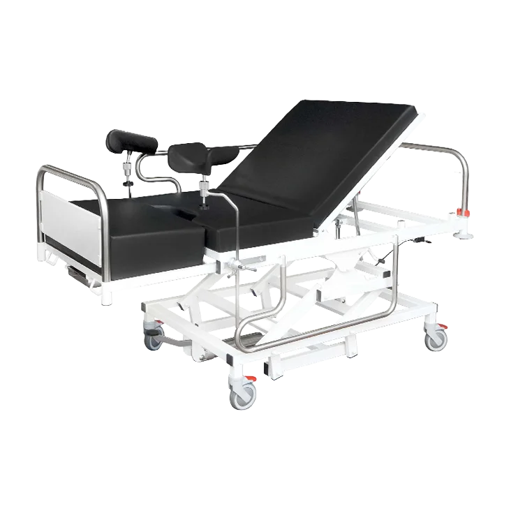 02.2863 | Delivery bed — series