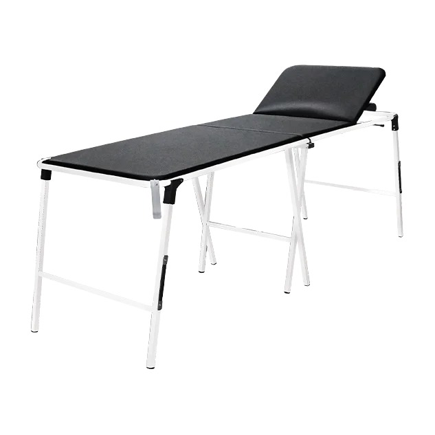 02.509.00 | Foldable examination couch epoxy coated